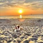 Ersteller:in Saskia Profilbild