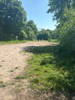 Hundeauslaufgebiet-Hundefreilauffläche Ladbergen-Bild