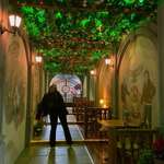 Ersteller:in Vivi Profilbild