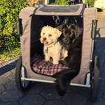 Ersteller:in Sandra Profilbild