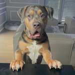 Ersteller:in Benjamin Profilbild