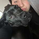 Ersteller:in Sara und Profilbild