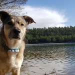 Ersteller:in Sarah Profilbild