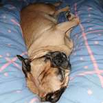 Ersteller:in Sandra Profilbild