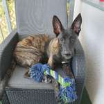 Ersteller:in Jenny Profilbild