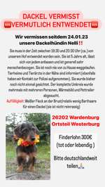 Suchmeldung-Nelli-Bild