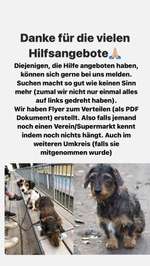 Suchmeldung-Nelli-Bild