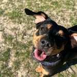 Ersteller:in Melina Profilbild