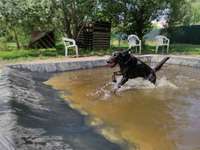 Hundeauslaufgebiet-Hohenschönhausen-Bild