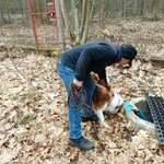 Ersteller:in Hans-Joachim Profilbild