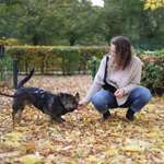 Ersteller:in Gwenny Profilbild