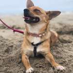 Ersteller:in Ronja Profilbild