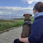 Ersteller:in Nina Profilbild