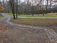 Hundeauslaufgebiet-Mirker Hain-Bild