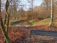 Hundeauslaufgebiet-Mirker Hain-Bild