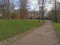 Hundeauslaufgebiet-Mirker Hain-Bild