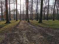 Hundeauslaufgebiet-Mirker Hain-Bild