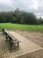 Hundeauslaufgebiet-Beim Kartäusermönch-Bild