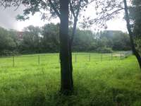 Hundeauslaufgebiet-Beim Kartäusermönch-Bild