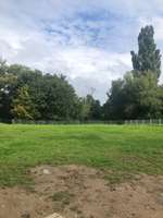 Hundeauslaufgebiet-Beim Kartäusermönch-Bild