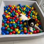 Ersteller:in Chris Profilbild