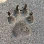 Ersteller:in Kerstin Profilbild