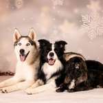 Ersteller:in Nati Profilbild