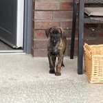 Ersteller:in Anna Profilbild