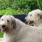 Ersteller:in Nicky Profilbild