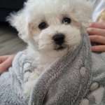 Ersteller:in Stephie Profilbild