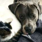 Ersteller:in P Profilbild