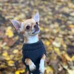 Ersteller:in Bella Profilbild