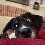 Ersteller:in Ilka Profilbild