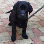 Ersteller:in Nancy Profilbild