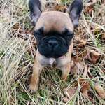 Ersteller:in Men Profilbild