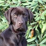 Ersteller:in MiRi Profilbild