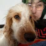 Ersteller:in Vex Profilbild