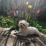 Ersteller:in Vera Profilbild