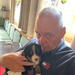 Ersteller:in Harald Profilbild