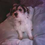 Ersteller:in Sarah Profilbild