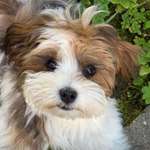 Ersteller:in Liva Profilbild