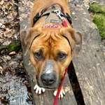 Ersteller:in Julia Profilbild