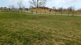 Hundeauslaufgebiet-Fasanenweg-Bild