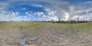 Hundeauslaufgebiet-Fasanenweg-Bild