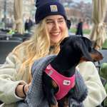 Ersteller:in Anna Profilbild