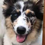 Ersteller:in Petra Profilbild