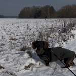 Ersteller:in Pauline Regina Lea Profilbild