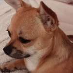 Ersteller:in Denise Profilbild