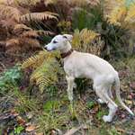 Ersteller:in Carinas Profilbild