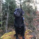 Ersteller:in Evelyn Profilbild